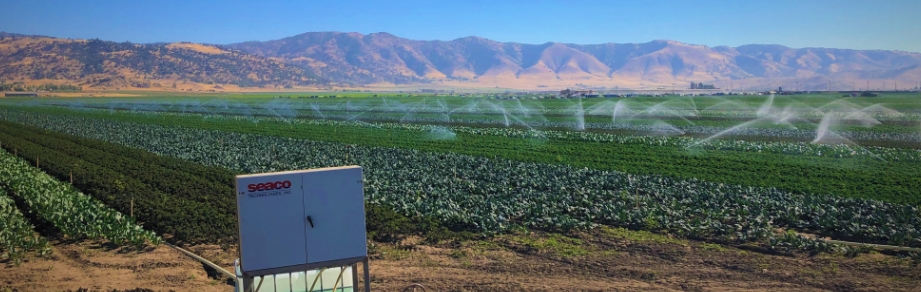 Large Organic Leafy Green Producer Benefits from Seaco Field Application Solution